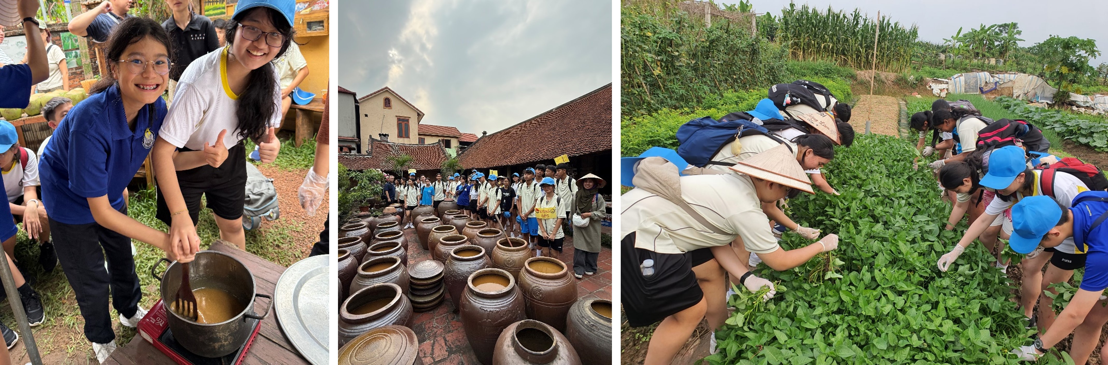 Duong Lam Ancient Village